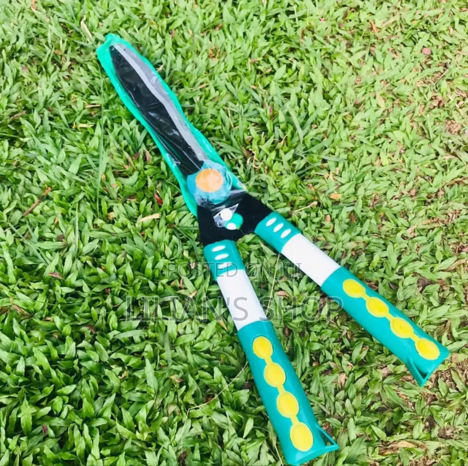 Stainless Steel Medium-Sized Garden Scissors
