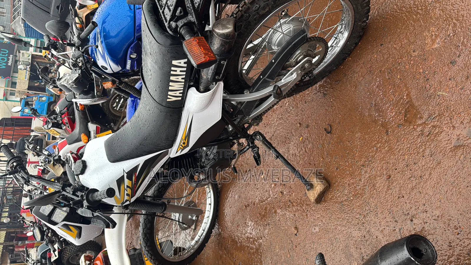 Yamaha 2005 White