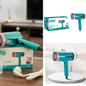 Winning Star Handheld Garment Steamer St-5311