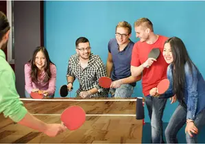 Table Tennis Bat Set