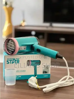 Winning Star Handheld Garment Steamer St-5311