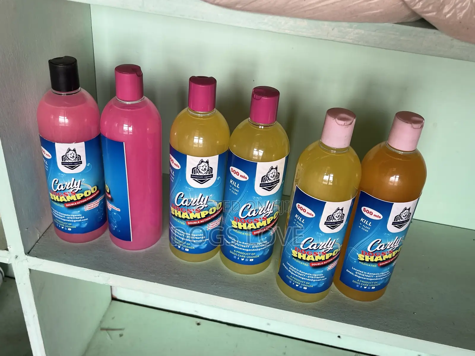 Medicated Dog Shampoo