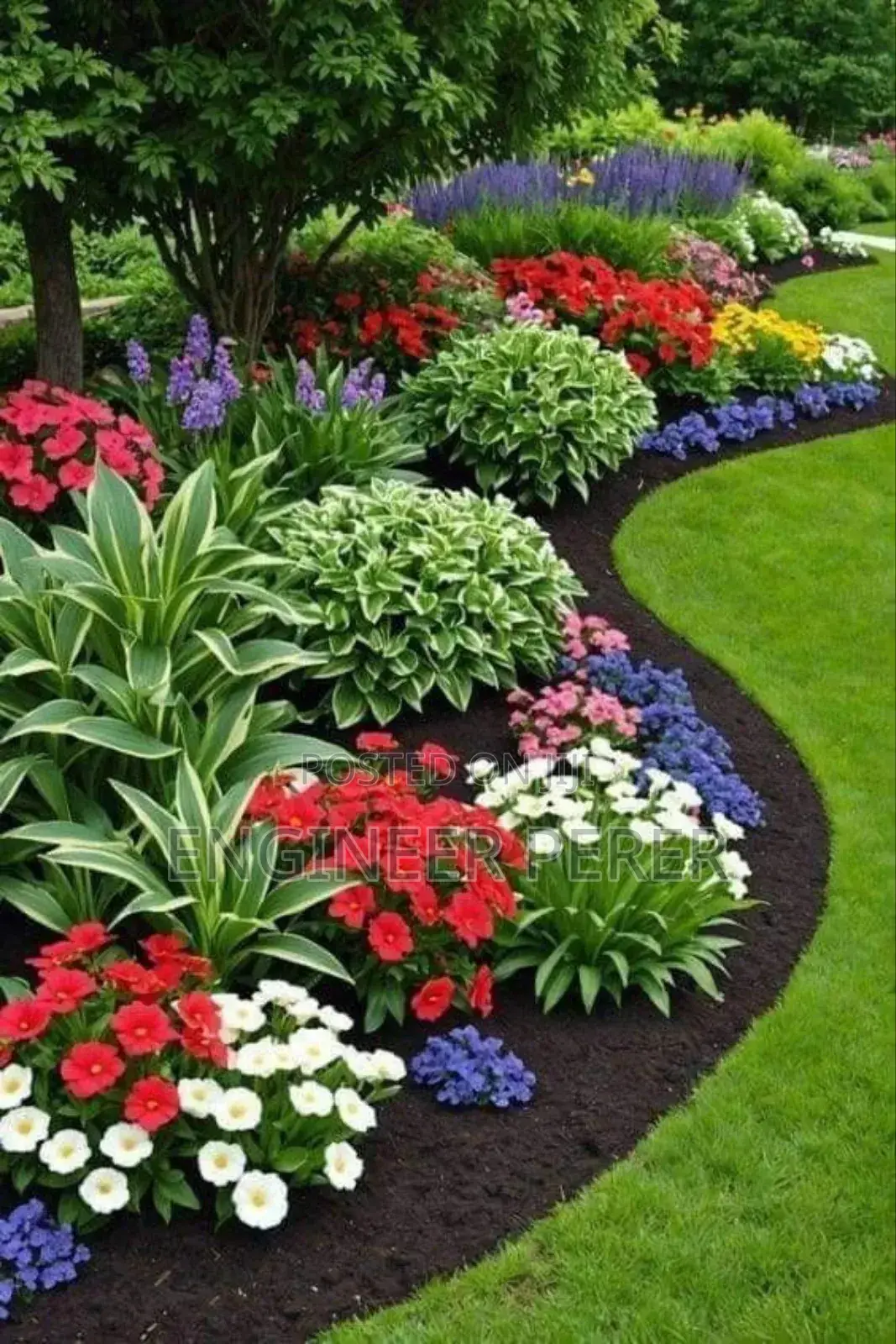 Garden Flowers