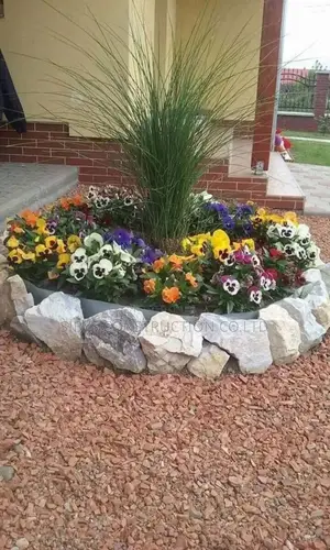 Garden Flowers