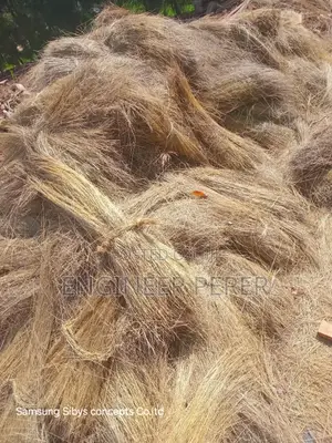 Grass for Sell
