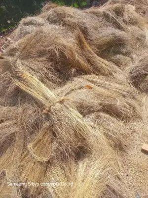 Grass for Sell