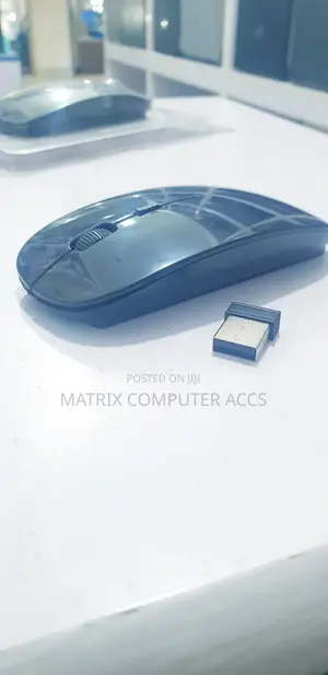 Wireless Mouse 4d
