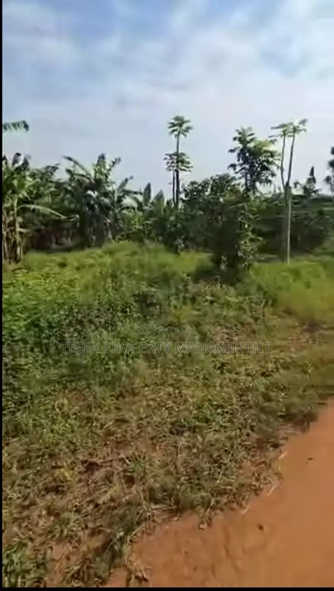 5 Acres Of Fertile Land At 115m