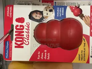 Kongs for Dogs