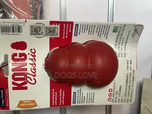 Kongs for Dogs