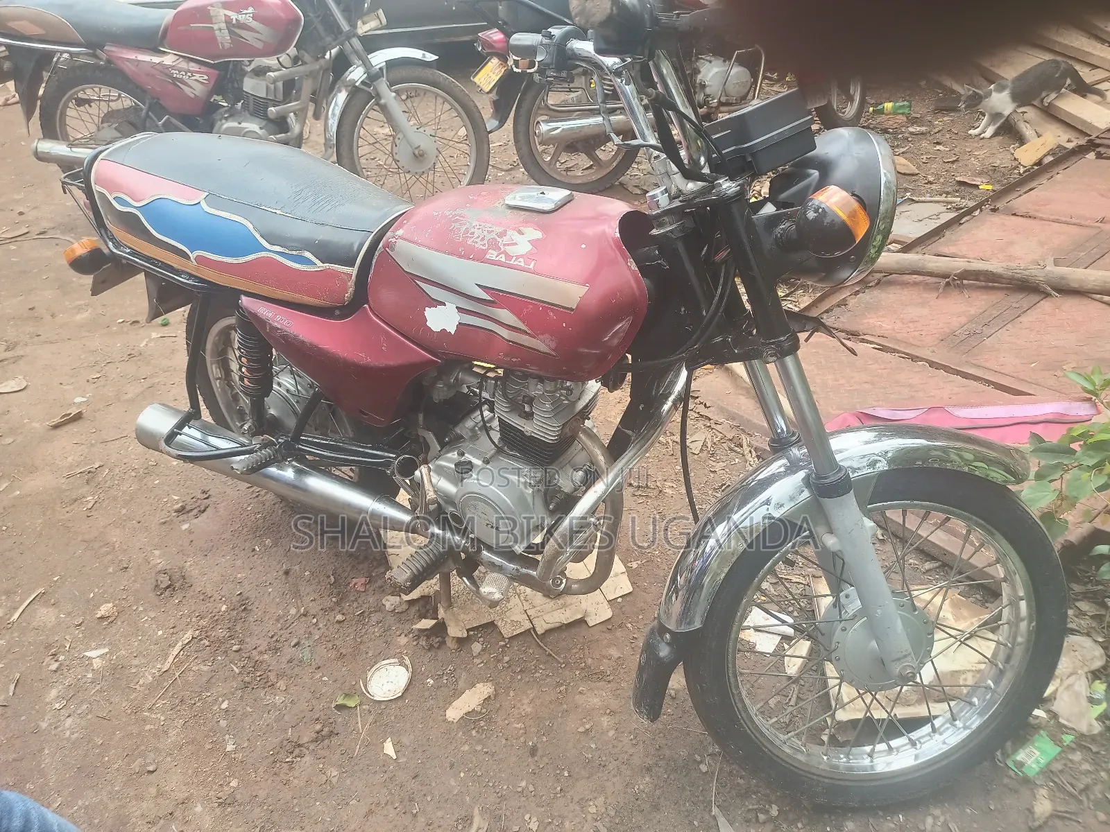Bajaj Boxer 2015 Red