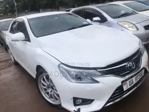 Photo - Toyota Mark X 2014 White