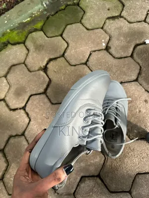 Classy Simple Sneakers