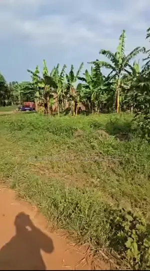 5 Acres Of Fertile Land At 115m