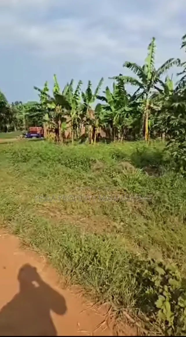 5 Acres Of Fertile Land At 115m