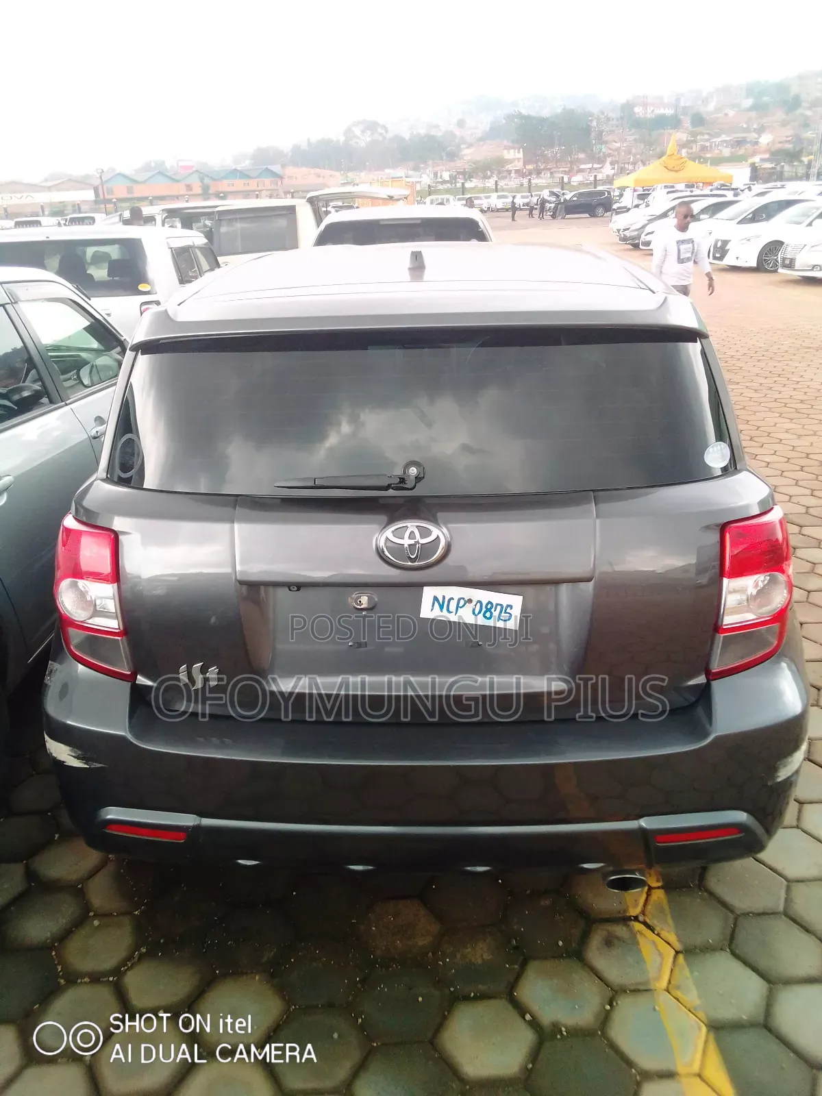Toyota IST 2012 Gray
