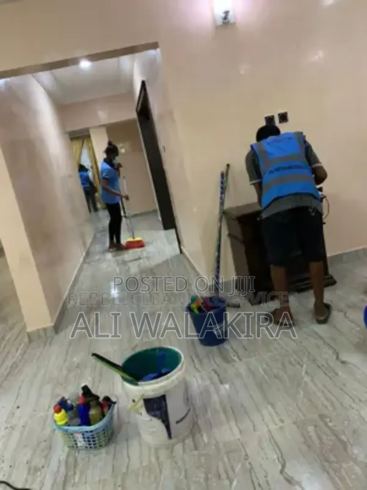 Professional House Cleaning
