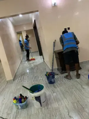 Professional House Cleaning