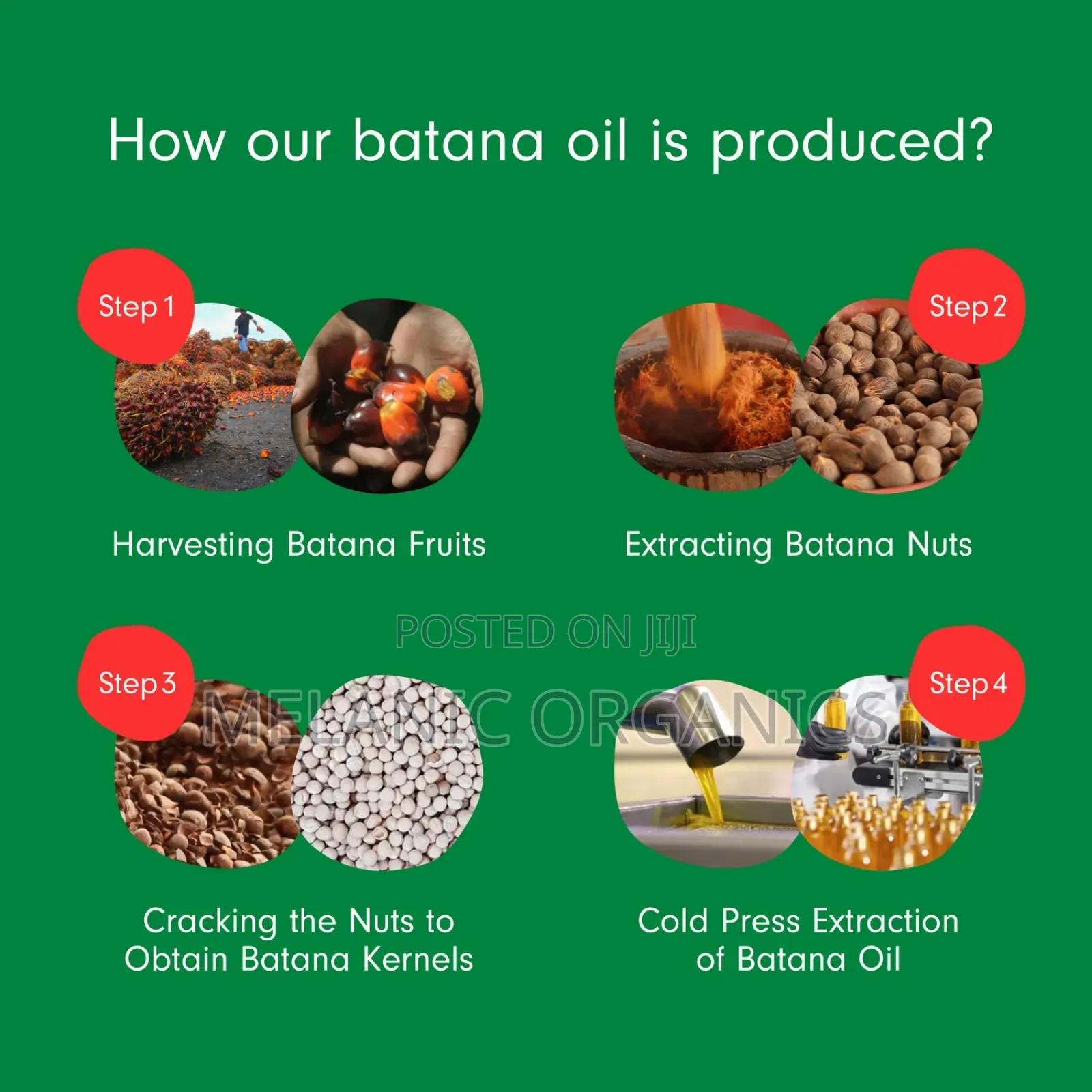 Berry Pure Liquid Batana Oil