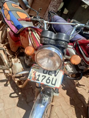 Bajaj Boxer 2024 Red