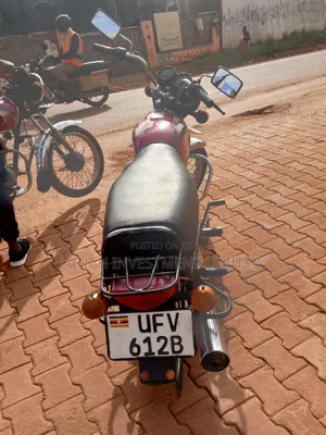Bajaj Boxer 100 2024 Red