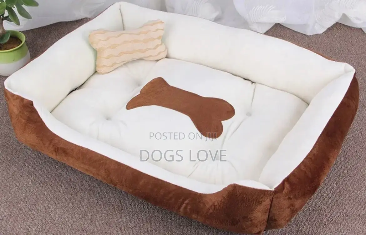 Dog Beds and Cats