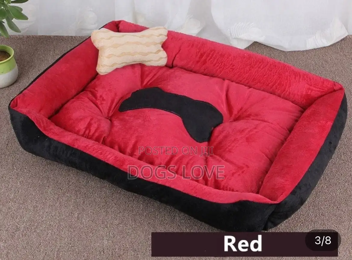 Dog Beds and Cats