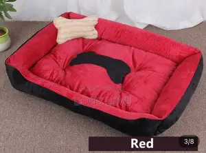 Dog Beds and Cats