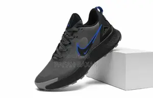 Original Gray/Black Nike Zoom Pegasus Running Sneakers