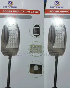 Solar Induction Lamp