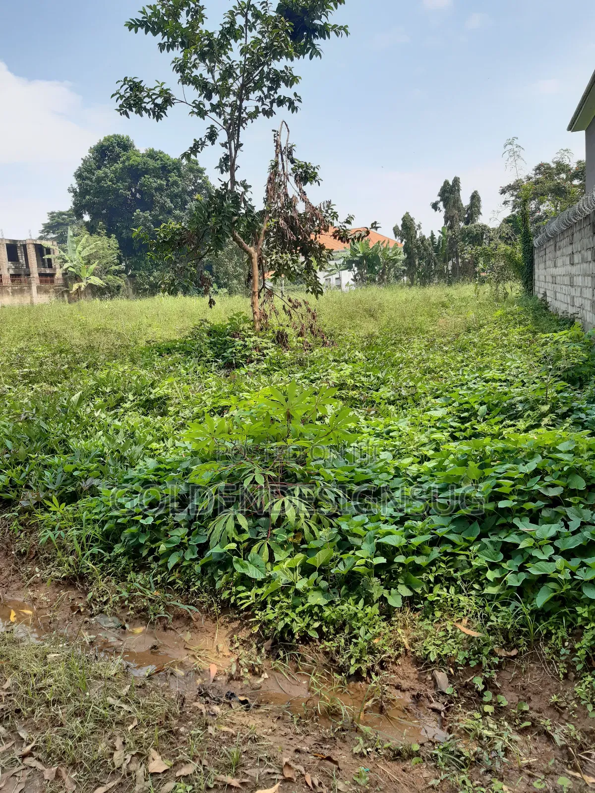Plots of Land in Muyenga Bukasa on Quick Sale