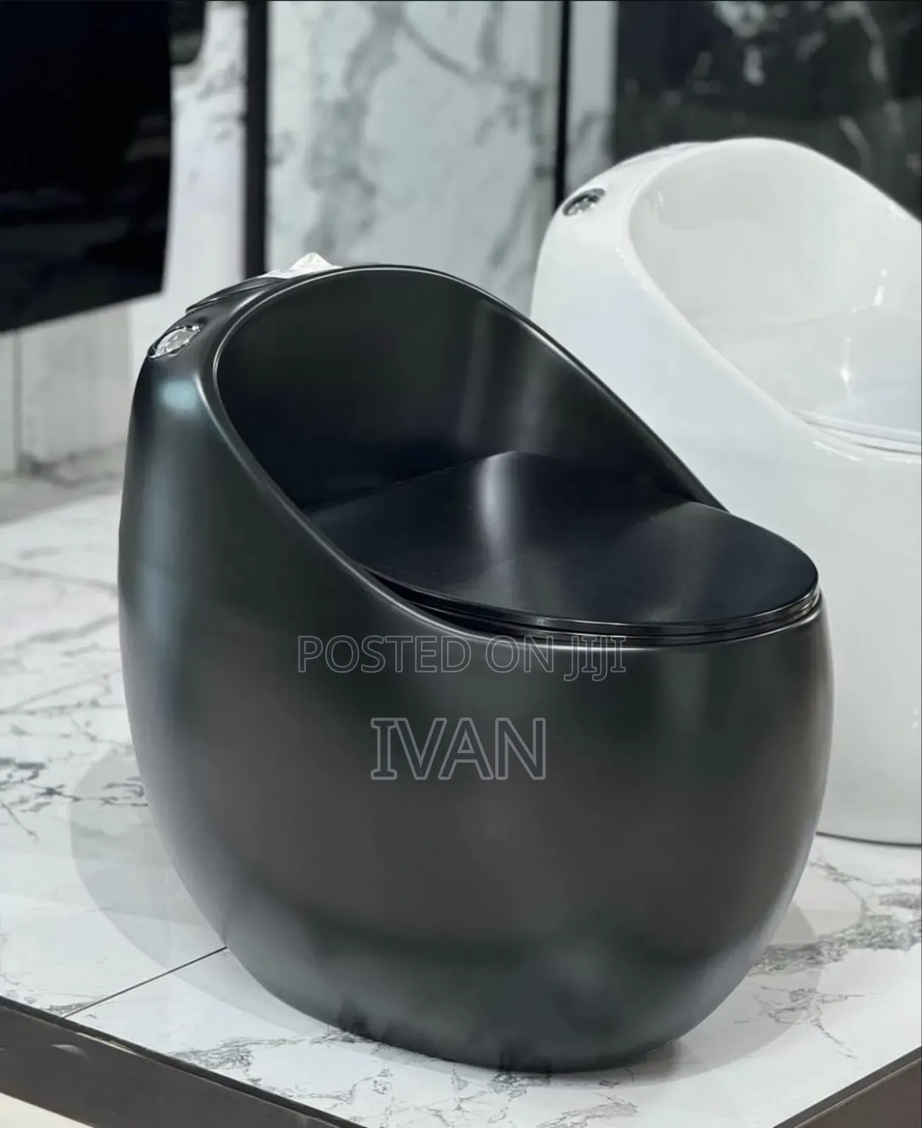 Executive Toilet