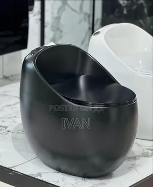 Executive Toilet