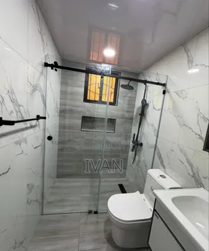 Frame Less Shower Door Glass