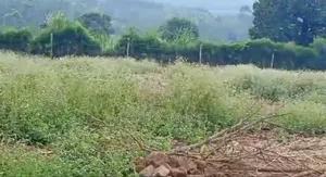 Photo - 2 Acres of Land Along Mityana Road Muduuma,210m