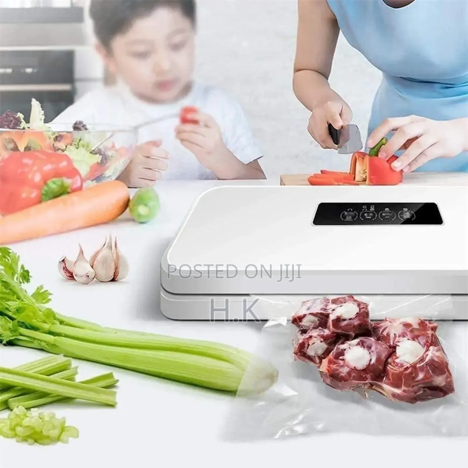 Sgce Dz-W300 Household Vacuum Sealer