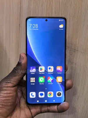 Xiaomi 12 Pro 256 GB Gray