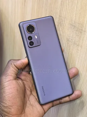 Xiaomi 12 Pro 256 GB Gray