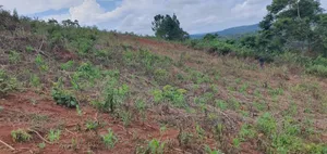 Land for Sale Mukono Kisoga