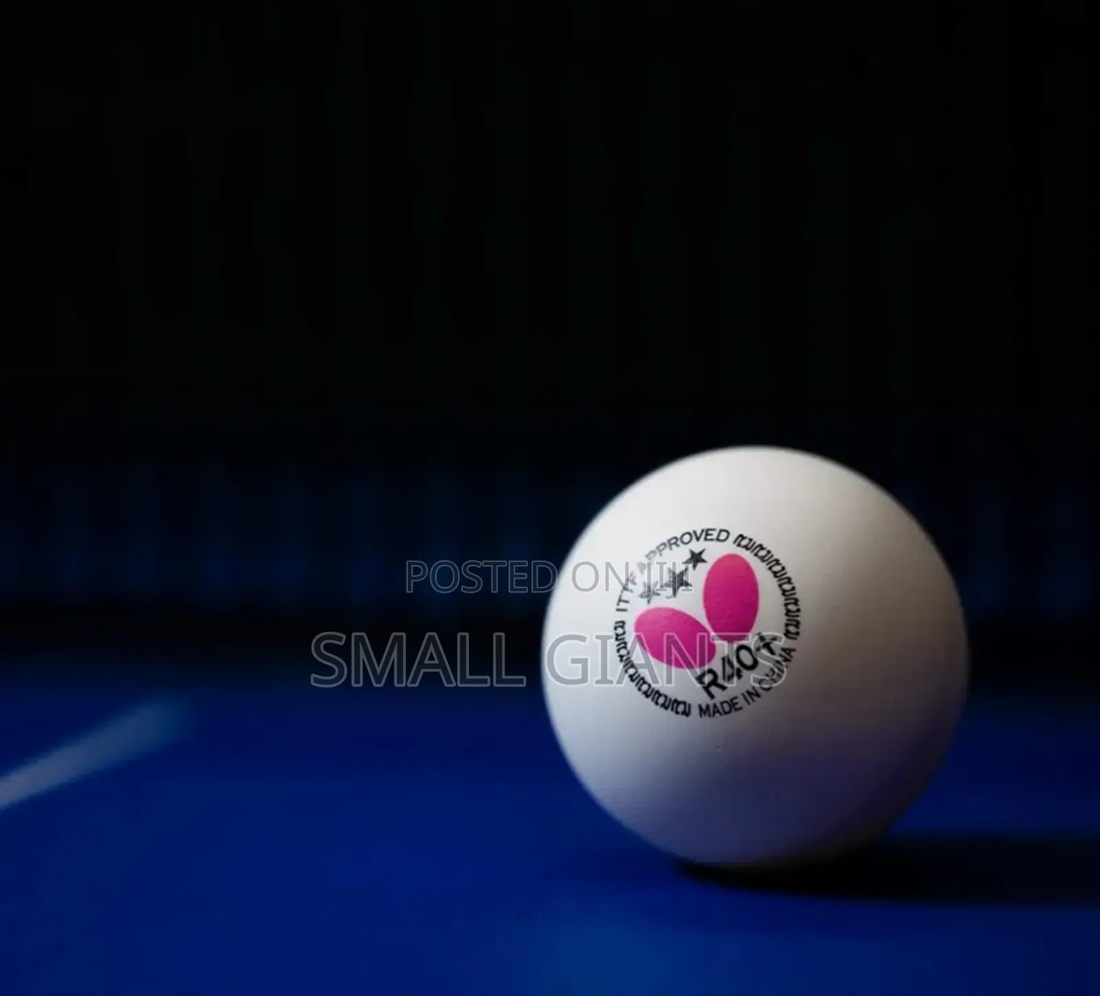 Butterfly R40+ 3-Star Table Tennis Balls