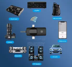 3 in I Receiver Plug and Play Wireless Microphone