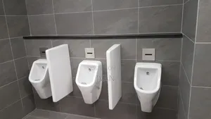 Urinal Sensor Valve