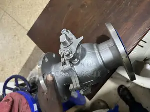 Stainless Steel Flanged and Threaded