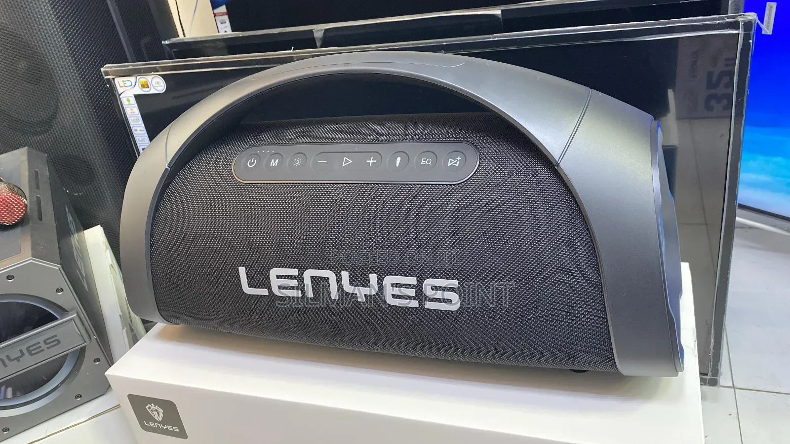 Lenyes Party Wild Speaker With Dual Microphones