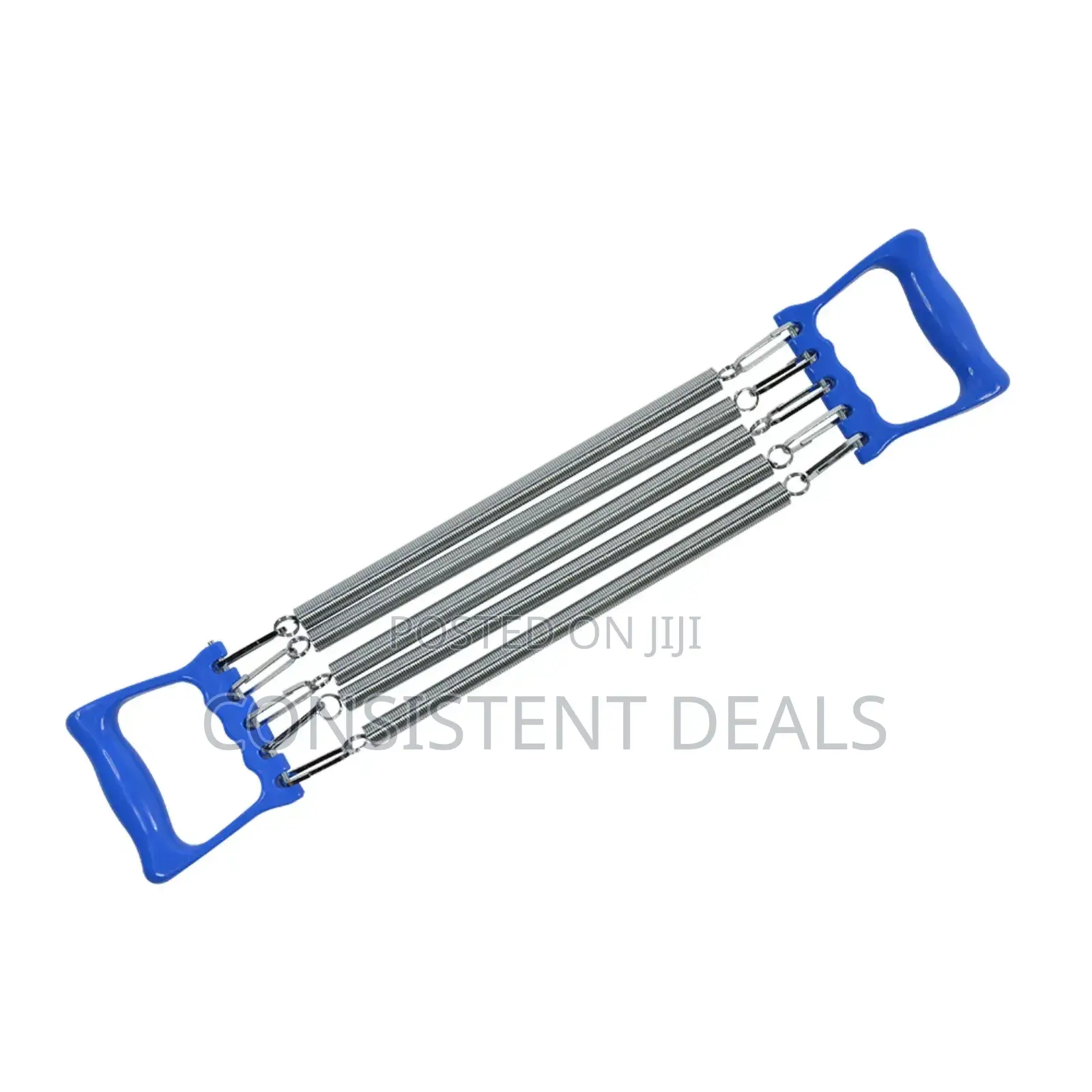 Spring Chest Expander