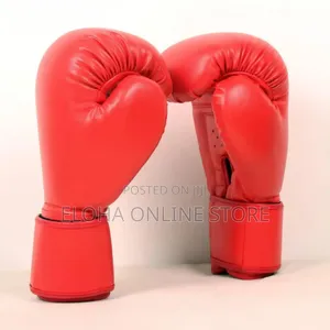 Original Punching Gloves