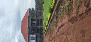 Houses Painting