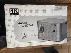 Photo - Heavy Duty Smart Projector