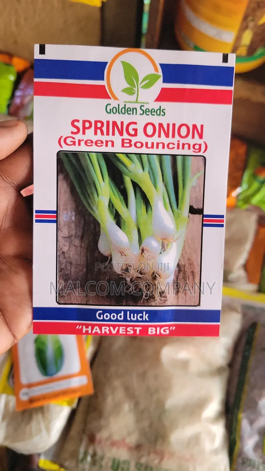 Chinese Vegetable Seeds
