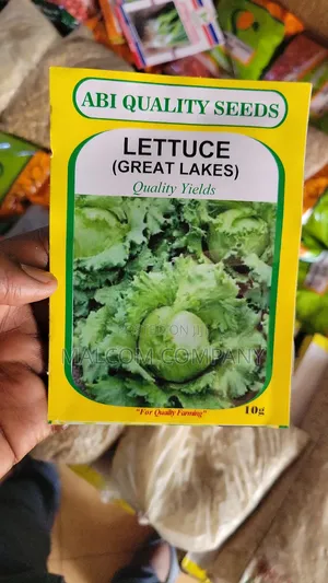 Chinese Vegetable Seeds